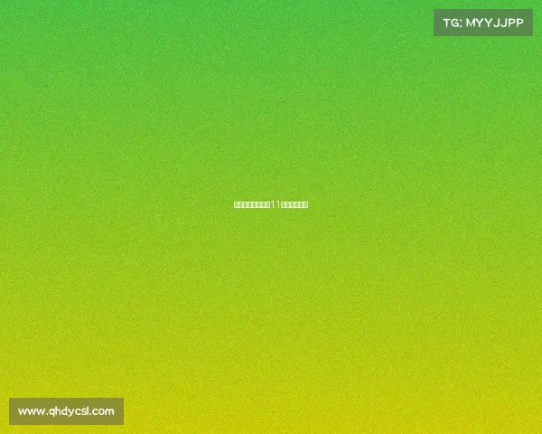 新浩方电竞平台和11对战平台对比